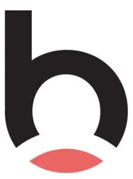 baanhub logo klein